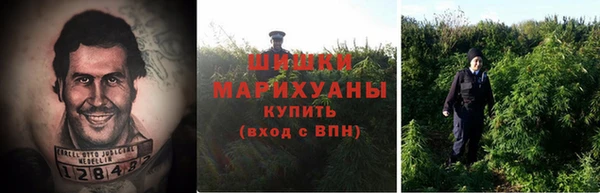 марки nbome Новозыбков