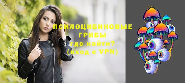 эйфоретик Новокубанск