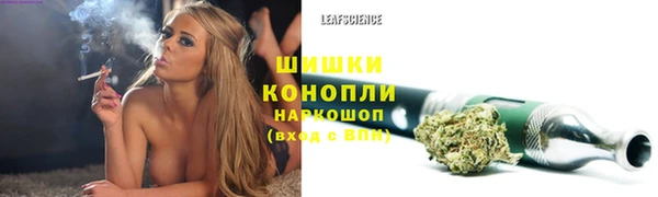 эйфоретик Новокубанск