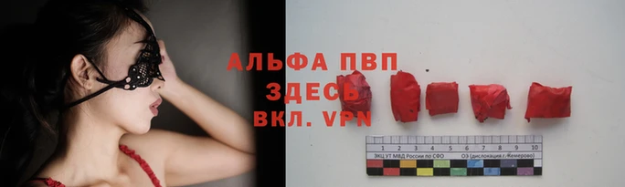 ECSTASY Новодвинск