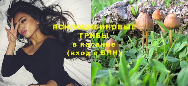 эйфоретик Новокубанск
