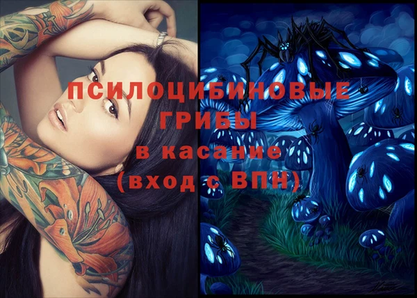эйфоретик Новокубанск