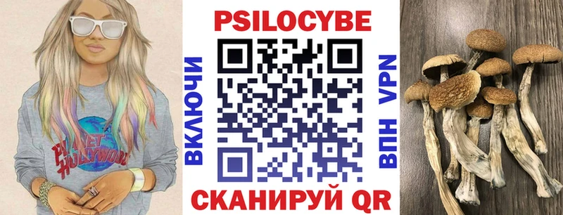 Псилоцибиновые грибы GOLDEN TEACHER  Отрадное 